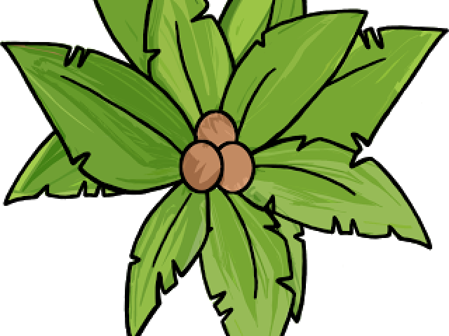 Download Palm Tree Clipart Top View - Clip Art - HD Transparent PNG