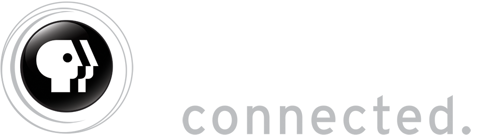 Wcny Pbs Kids (1000x500), Png Download