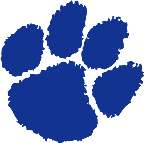 Yellow Tiger Paw Logo Clipart - Rabun County Wildcats (416x413), Png Download