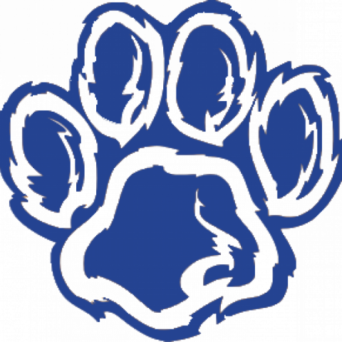 Tiger Fund - " - Purple Glitter Paw Print (480x480), Png Download