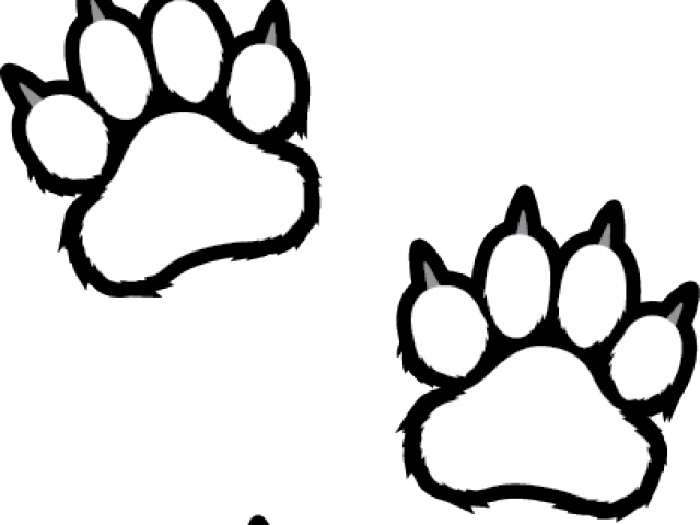 Scratches Clipart Tiger Paw - Tiger Paws Coloring Pages (640x480), Png Download