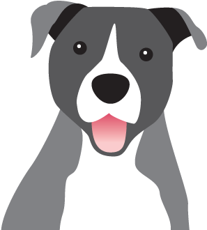 Pitbull - Pit Bull (1000x420), Png Download