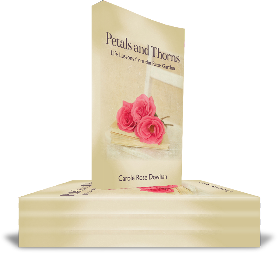 Stackedpaperback - Petals And Thorns: Life Lessons From The Rose Garden (893x812), Png Download