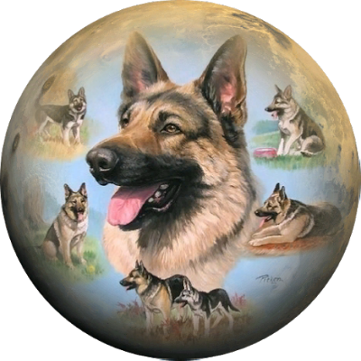 Graphite Drawing German Shepherd - Bob German Shepherd Dog - Linda Picken Treat Jar (400x400), Png Download