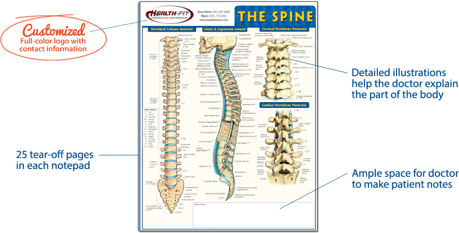 Doctor Notepad - Spine By Vincent Perez (1172x500), Png Download