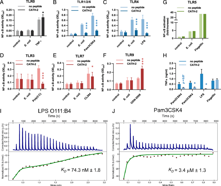 Inhibition Of E - Diagram (850x716), Png Download