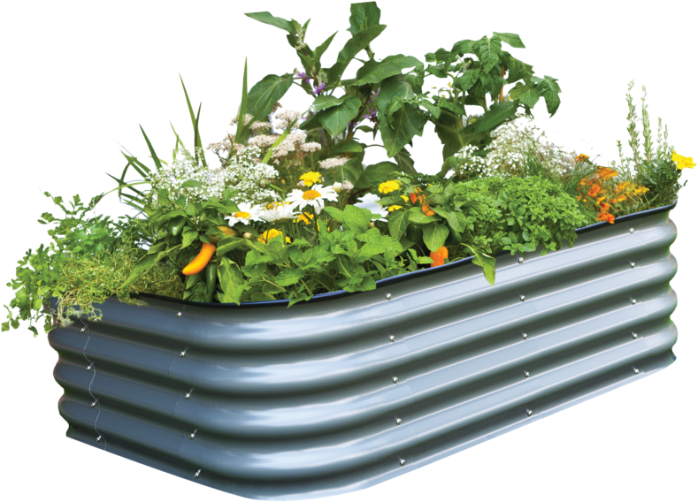 Benefits Of A Raised Garden Bed - 6 In 1 Birdie Raised Bed (1024x683), Png Download