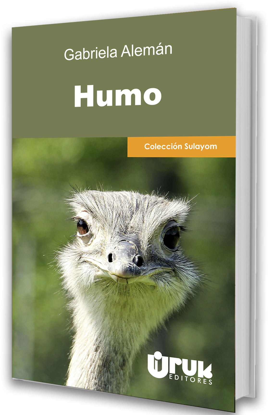 ₡ - Common Ostrich (1701x1752), Png Download