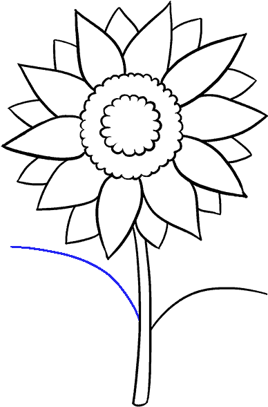 Sunflowers Png Tagalog Ng Picture Royalty Free Download - Sketch Picture Of Sunflower (678x600), Png Download