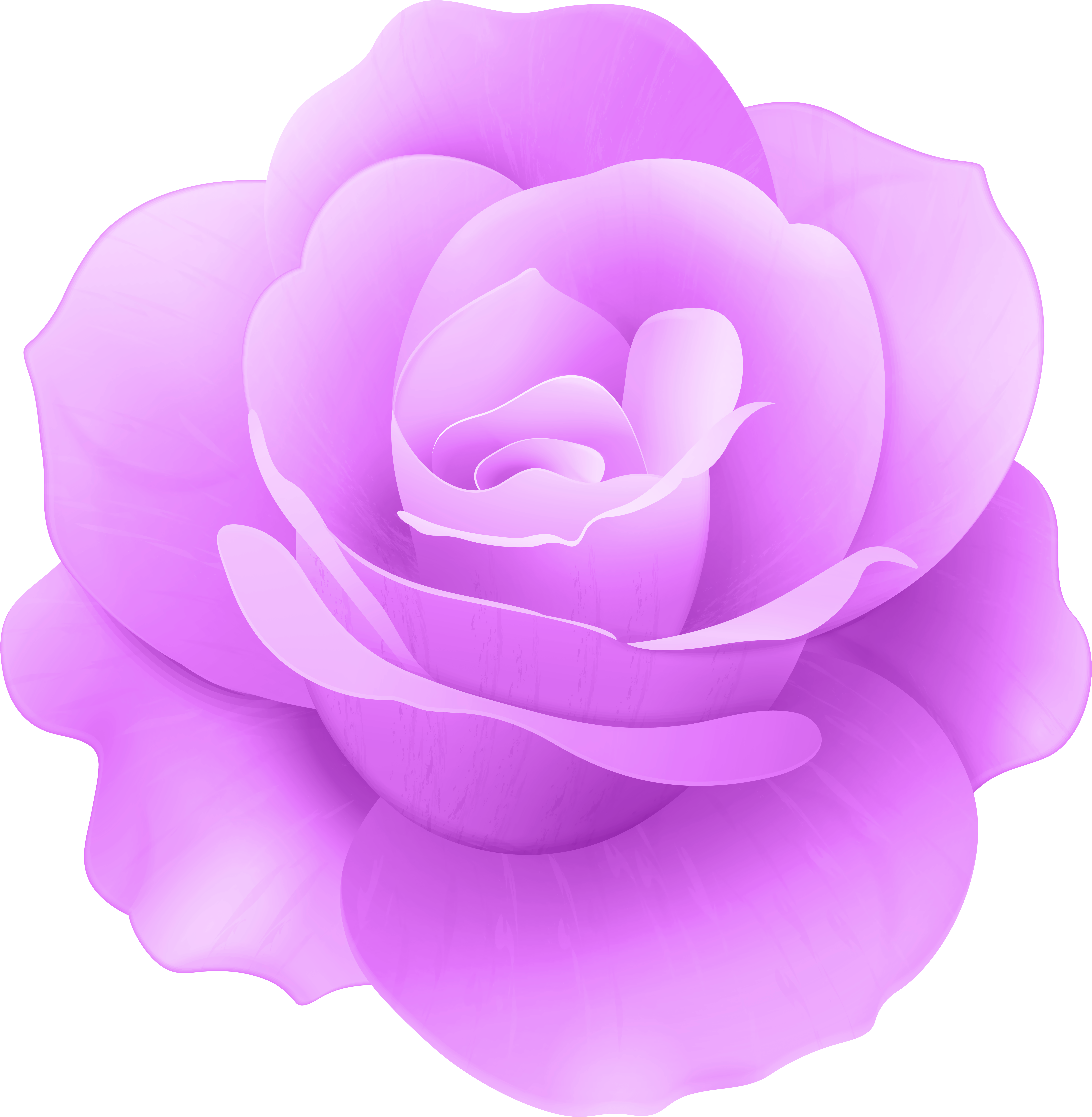 Purple Rose Png (7821x8000), Png Download