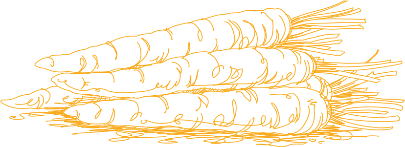 Carrots - Carrot (950x500), Png Download