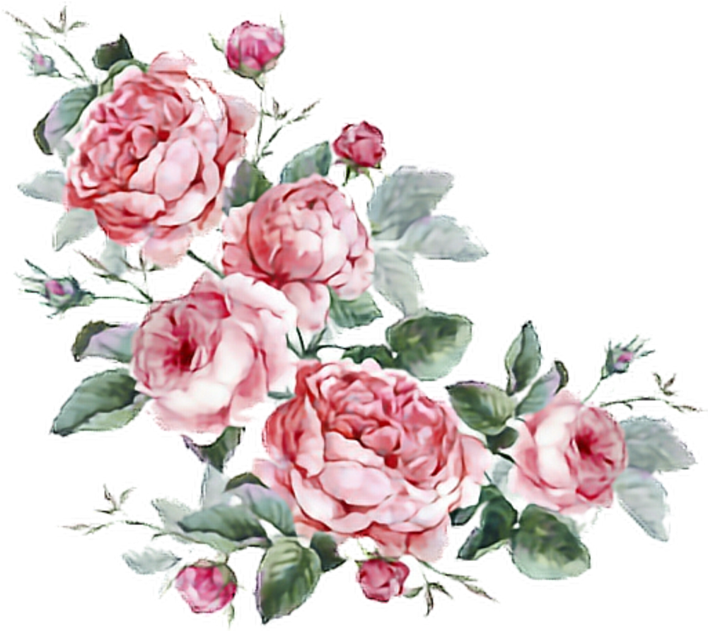 Flowers Stickers Transparent Aesthetic Cute Filter - Jane Austen. Donna E Scrittrice (1024x1024), Png Download
