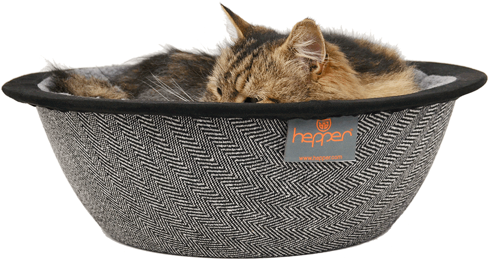 Nest Pet Bed - Dog Beds (1000x547), Png Download