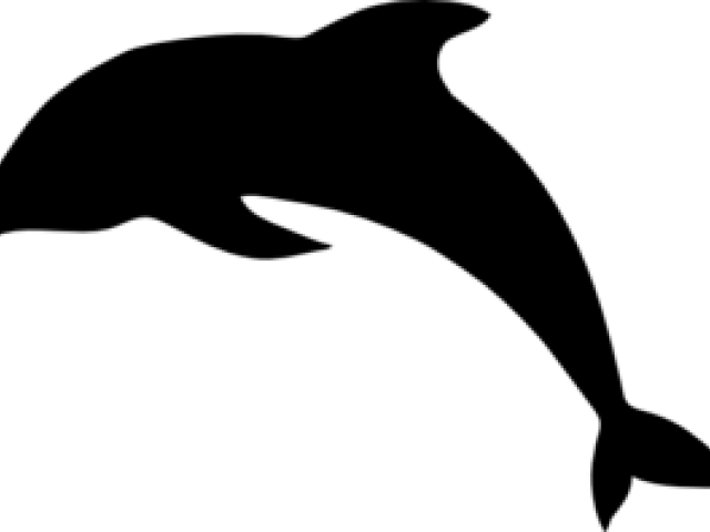 Wholphin (640x480), Png Download