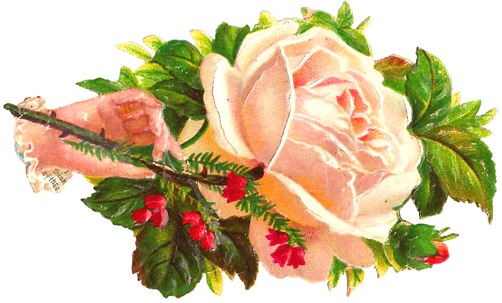 Free Flower Graphic - Clip Art (1310x896), Png Download