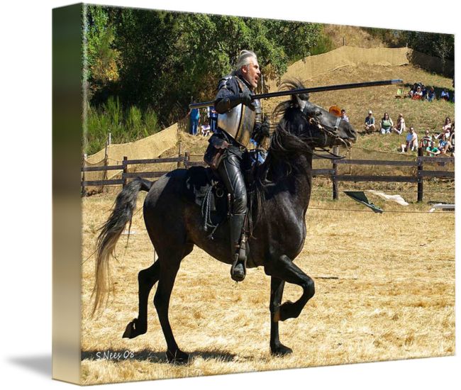 Joust By Shari Nees - Jousting (650x550), Png Download
