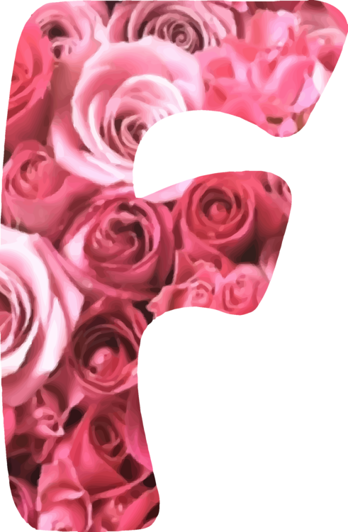 Garden Roses Paper Android Flower (491x750), Png Download