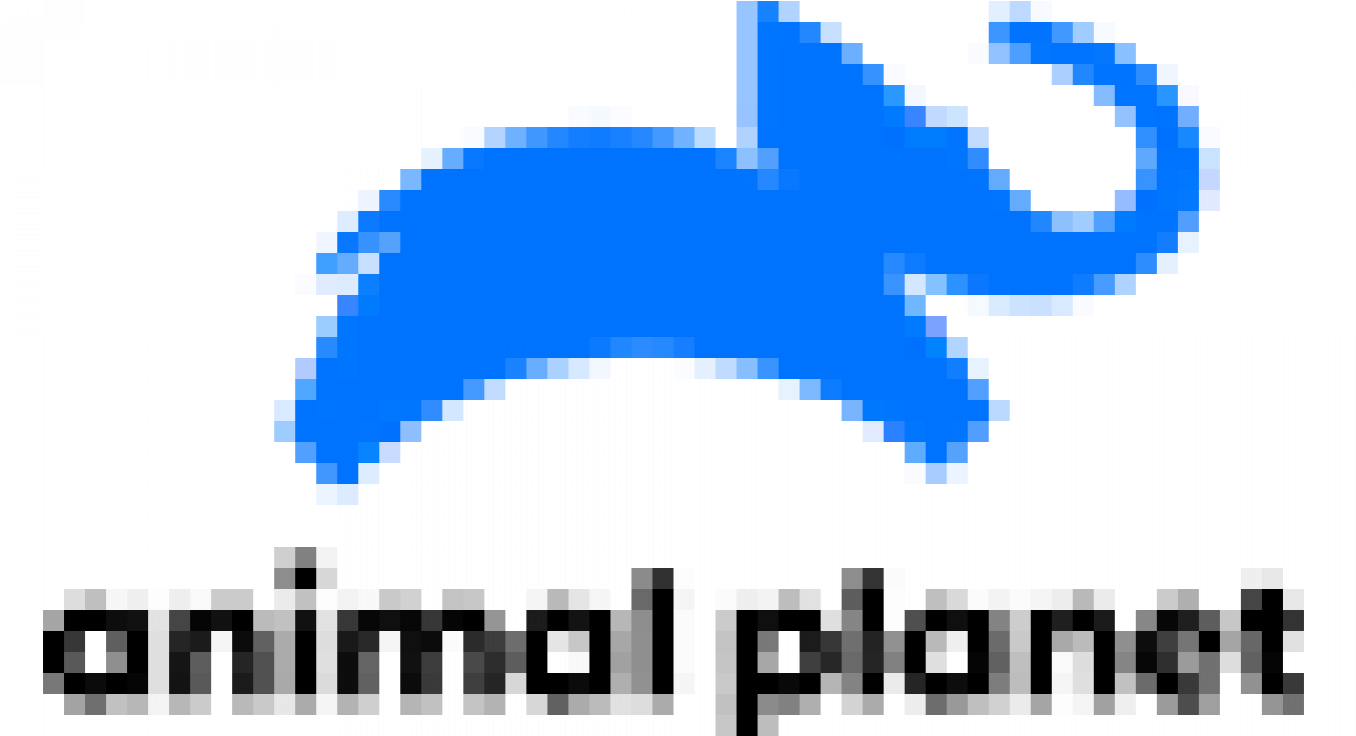 362 - Animal Planet Logo 2018 (1366x735), Png Download