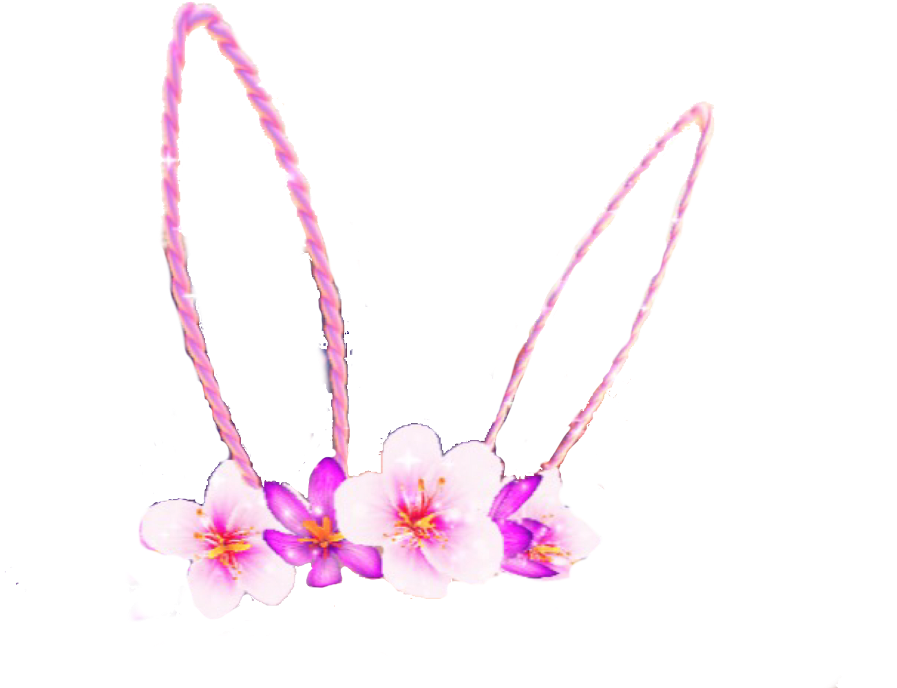 Bunnyrabbit Bunny Bunnyears Snapchat Snapchatfilter - Moth Orchid (1311x1024), Png Download