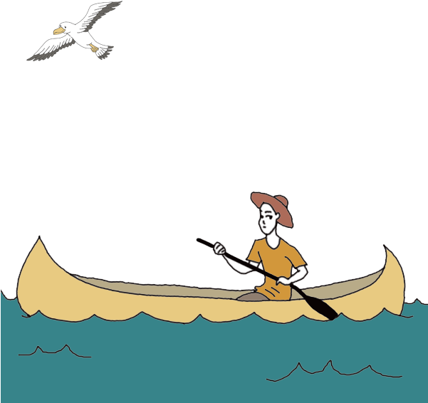 Seagull Png (600x600), Png Download