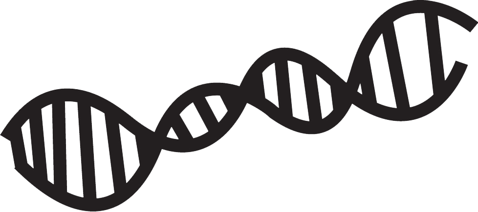 Dna - Science Tools Clipart Black And White (978x435), Png Download