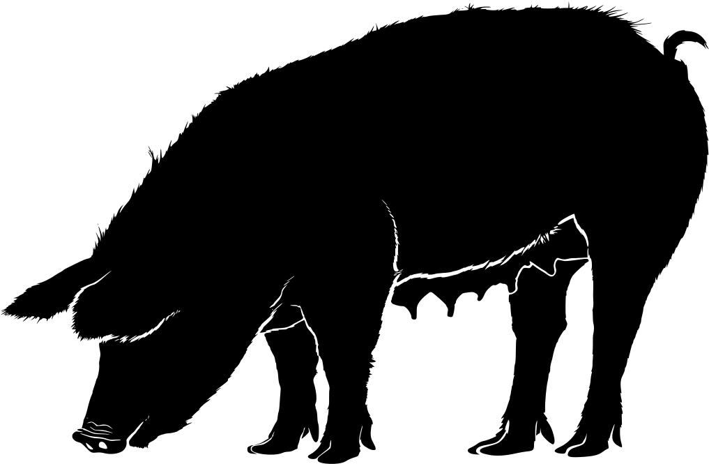 Download Png - Silhouettes Of Pig Png (1024x666), Png Download