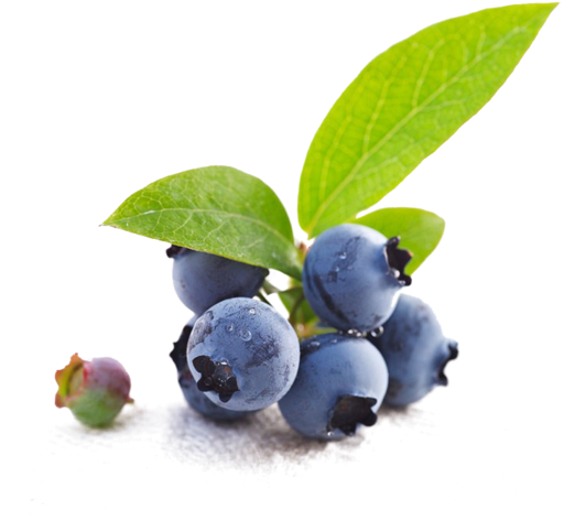 Bio Blueberry - Holika Holika Blueberry Juicy Mask Sheet 20ml (541x720), Png Download
