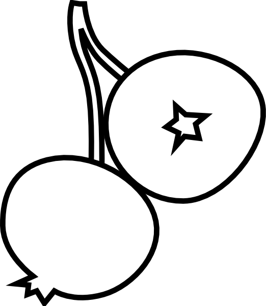 Blueberry Png (522x599), Png Download