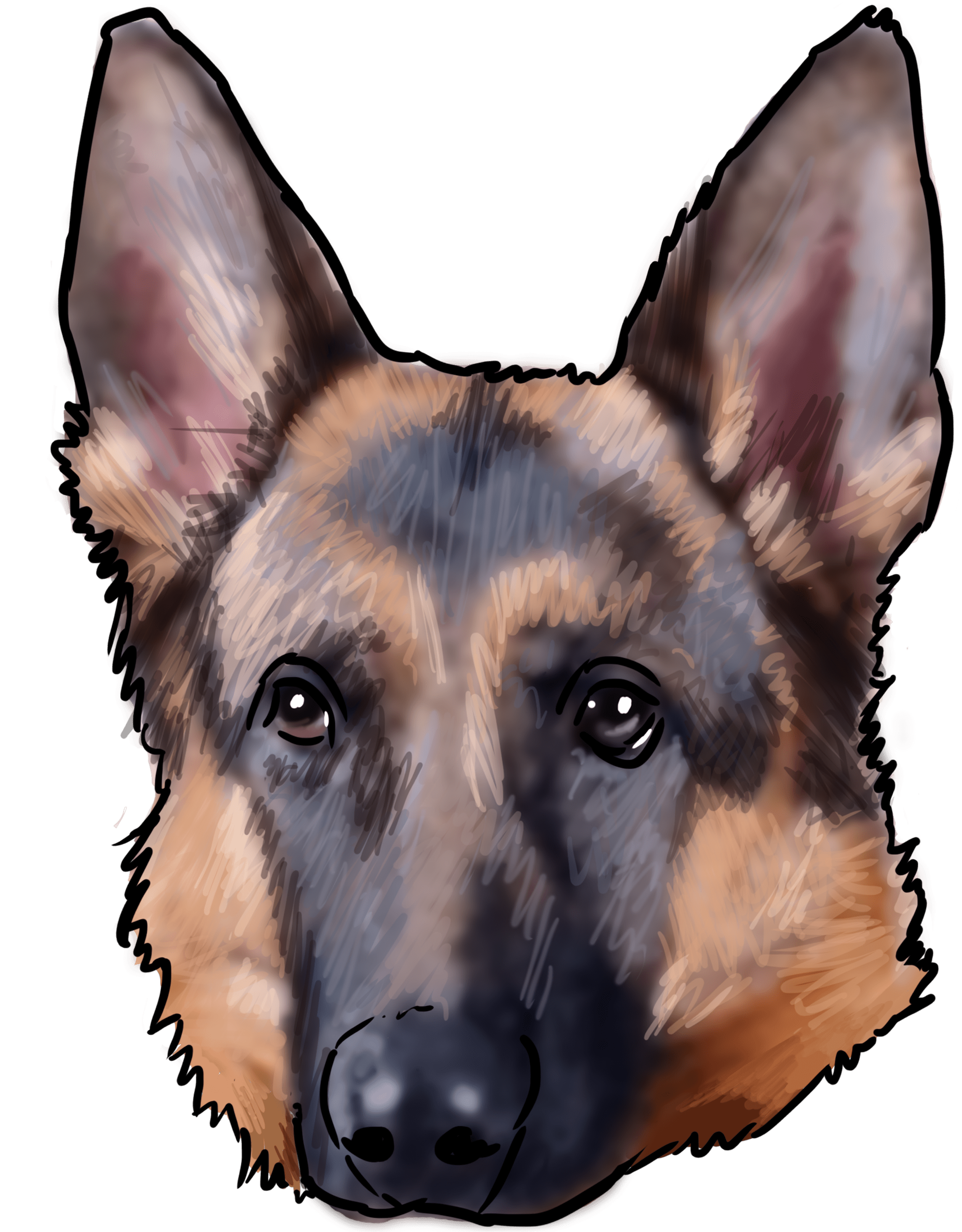 34 Why Are You A German Shepherd - German Shepherd Sniffer Dog (3000x3000), Png Download