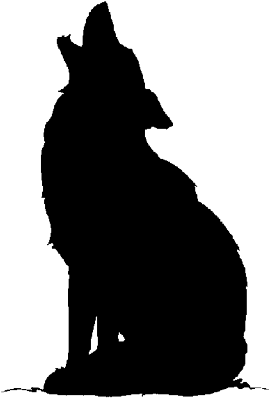 Pin By Joachim G On Black White - Wolf Aufkleber Fürs Auto (2000x1000), Png Download