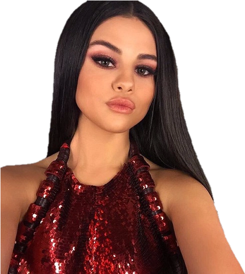 Selena Gomez Transparent (500x549), Png Download