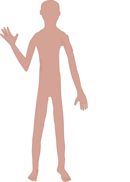 Male Body One Clip Art At Clker - Clip Art (426x598), Png Download