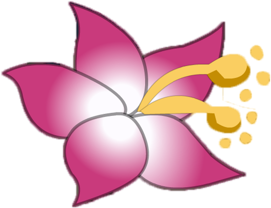 Hawaiian Flower (598x461), Png Download