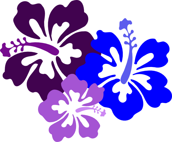 Hawaiian Clip Art Lei Free Clipart Images - Hibiscus Clip Art (600x496), Png Download