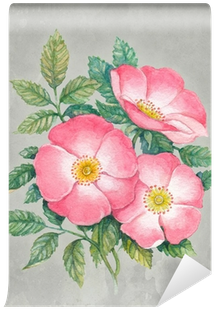 Watercolor Illustration Of Dog-rose Flower Wall Mural - Illustration (400x400), Png Download