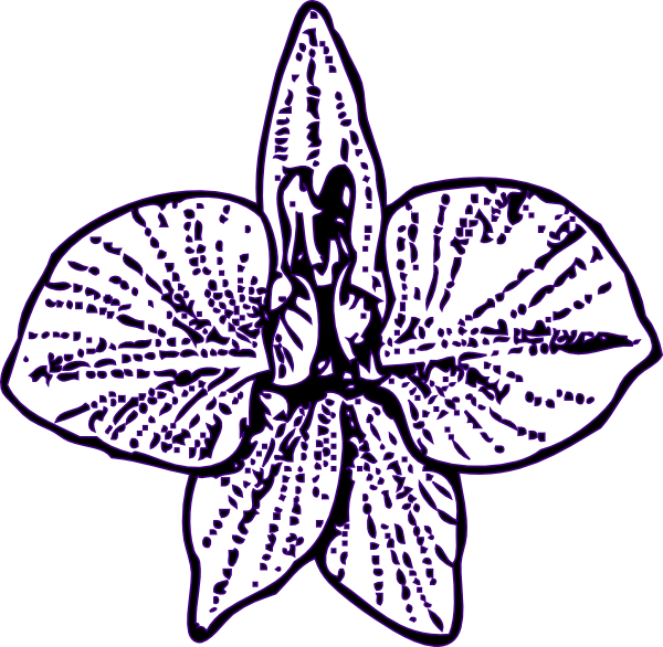 Flower Outline Svg Clip Arts 600 X 586 Px (600x586), Png Download