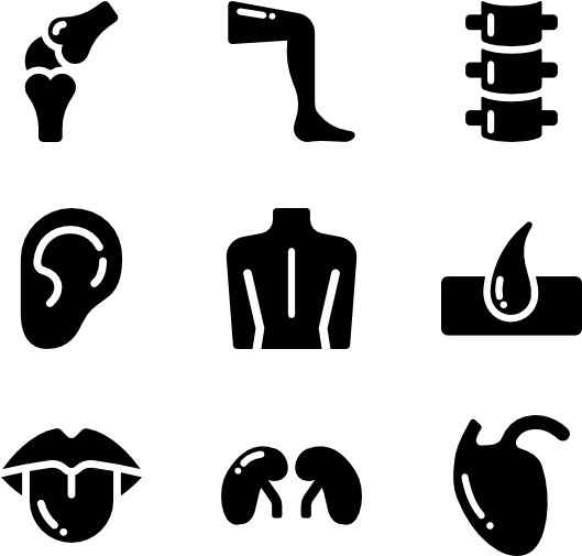 Human Body Icon Png - Human Body Symbols (600x564), Png Download