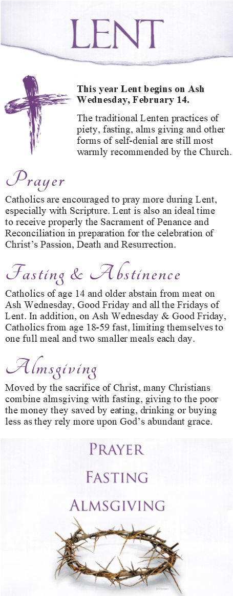 Picture - Recovery - Through Christ: Study Guide 1 - The First (468x1166), Png Download