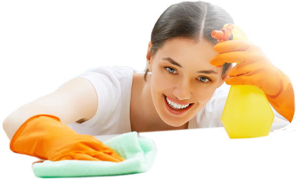 Cleaning Lady - Dusting - Lady Cleaning Png (592x393), Png Download