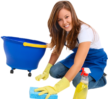 Cleaning Lady Png - Cleaning Services (741x347), Png Download