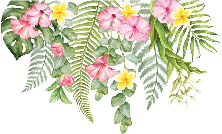 Individual Flowers For Greenery - Tropical Flowers Tropical Png (1024x544), Png Download