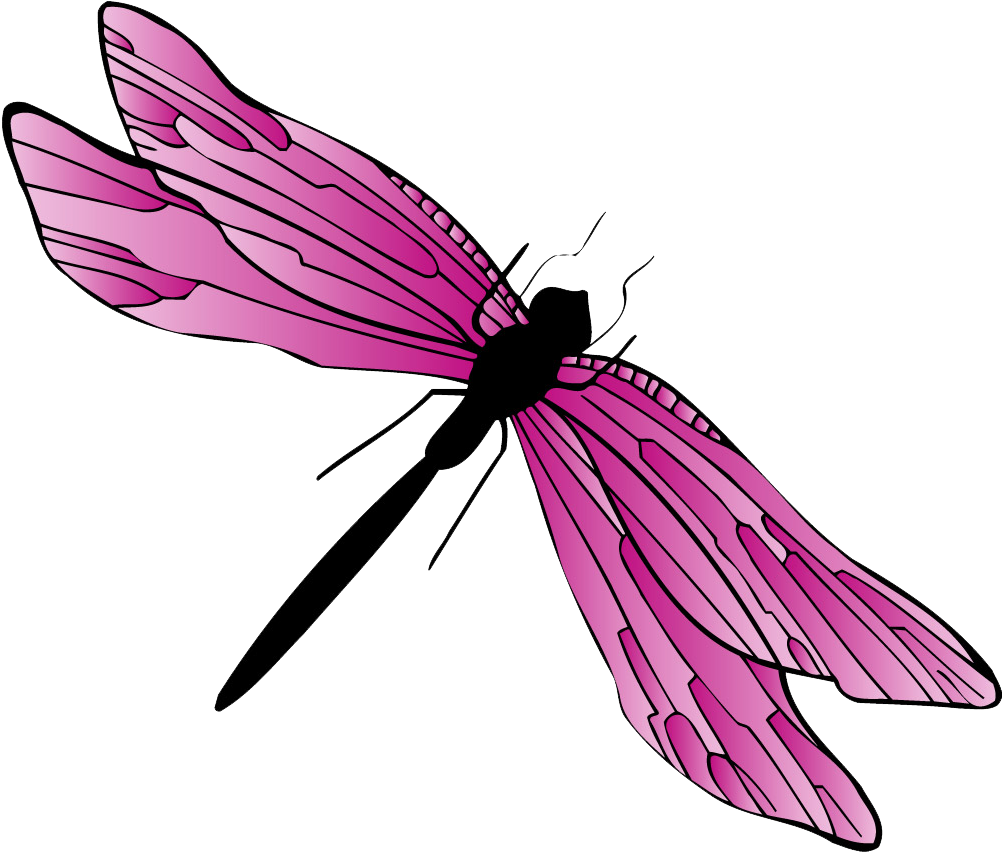 Dragonfly Gif Png (1020x1020), Png Download