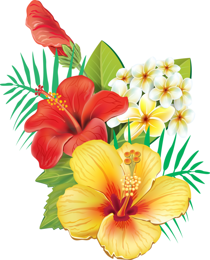 Tropical Flowers Png - Transparent Tropical Flowers Png (829x1024), Png Download
