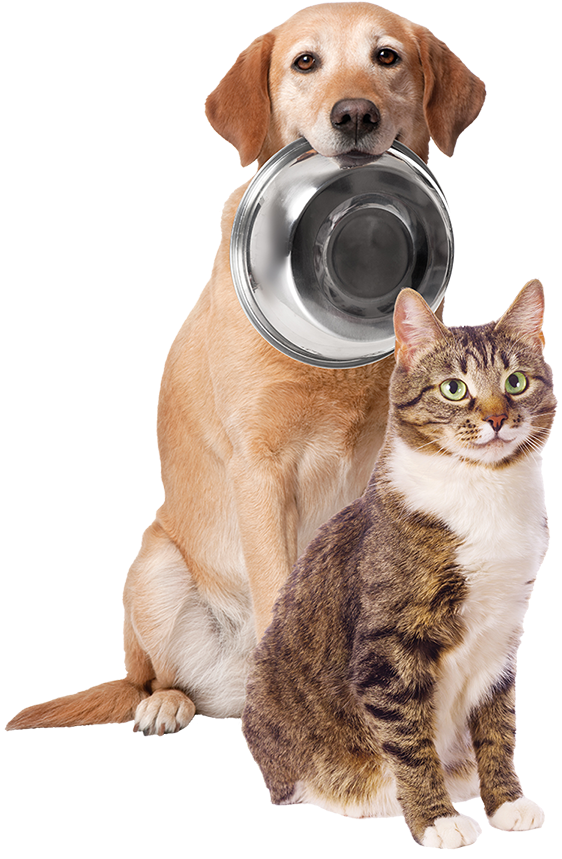 My Perfect Pet Lightly - Dog And Cat Png (573x900), Png Download