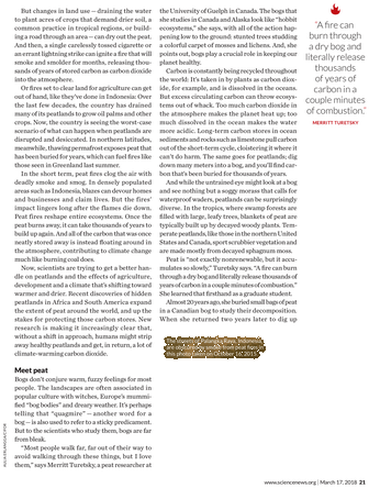 Untitled, Tailpiece, Pg. 135, In The Book Dingo By (380x491), Png Download