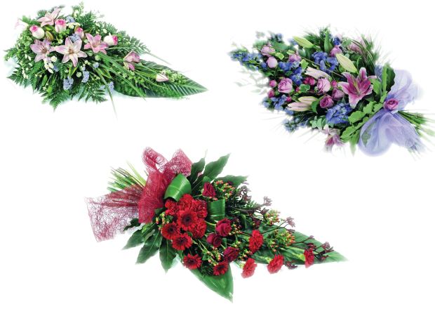 Largs Funeral Directors Undertakers - Pink And Blue Flowers (640x480), Png Download