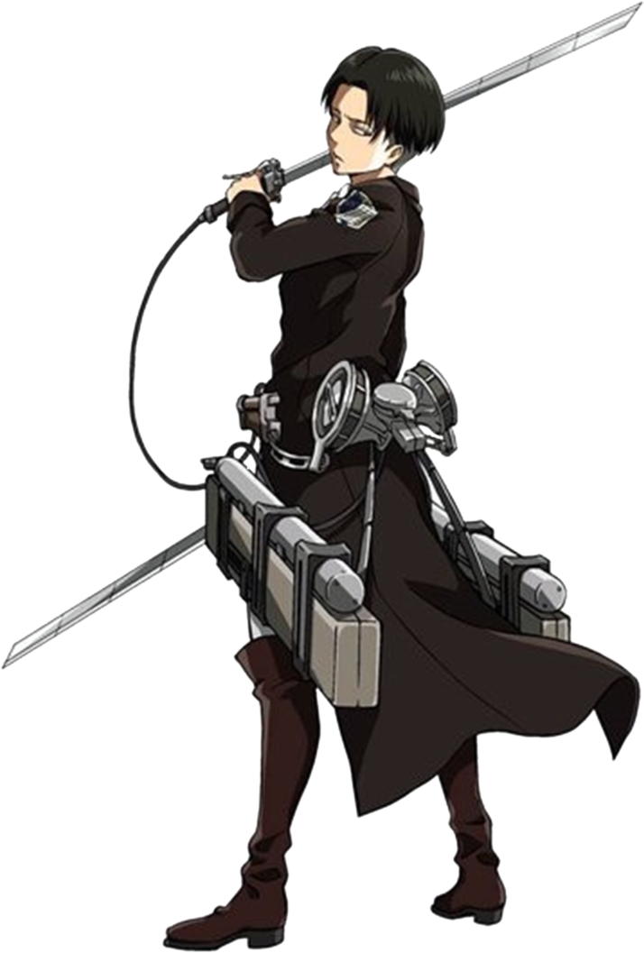 116857189 - Attack On Titan Outfit Levi (738x1082), Png Download