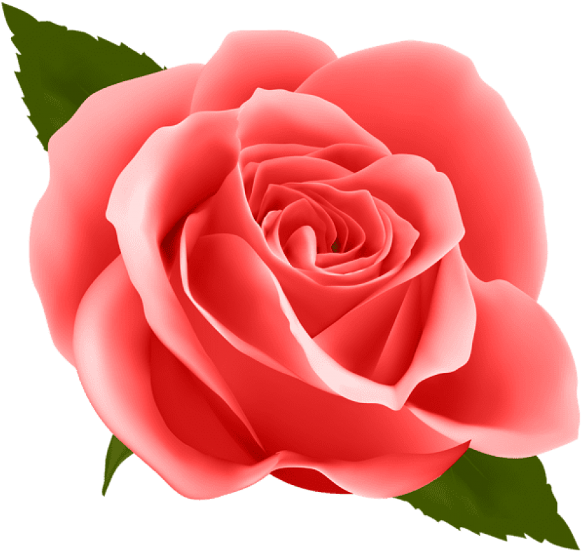 Free Png Red Rose Png Images Transparent - Happy New Month Flower (850x811), Png Download