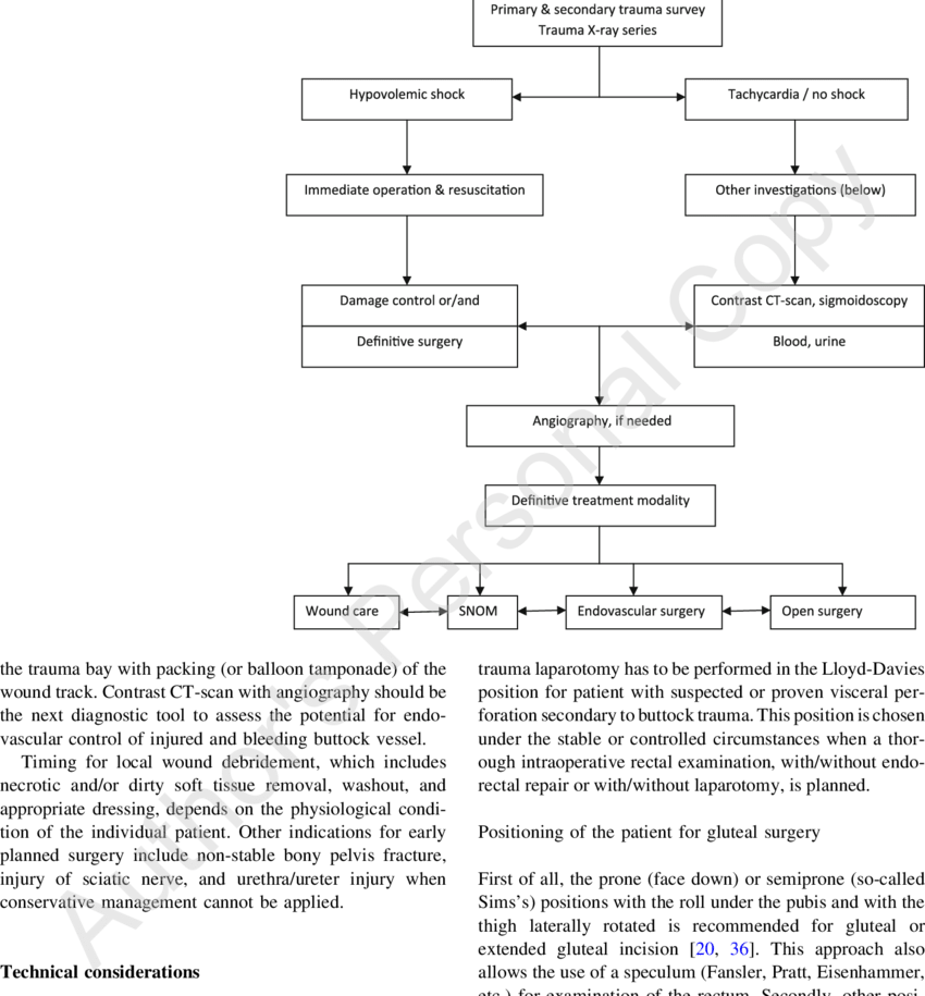 Basic Scheme Of Algorithm For Management Of Penetrating - Diagram (850x915), Png Download