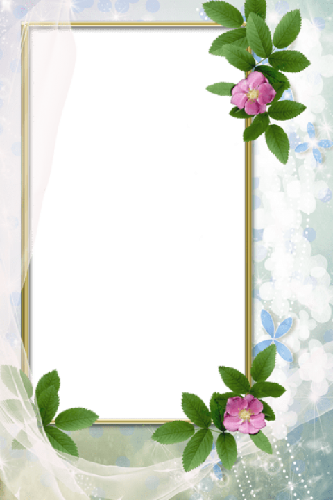 Free Png Transparent White Photo Frame With Flowers - Onemimi's Closet Gorgeous Necklace And Earring Set (480x720), Png Download